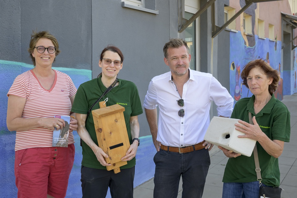 Sommertour von Umweltbürgermeister Schmidt-Lamontain: Artenschutz an Gebäuden